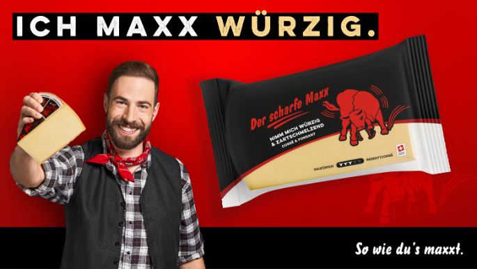 dsm-image-visual-2025-de